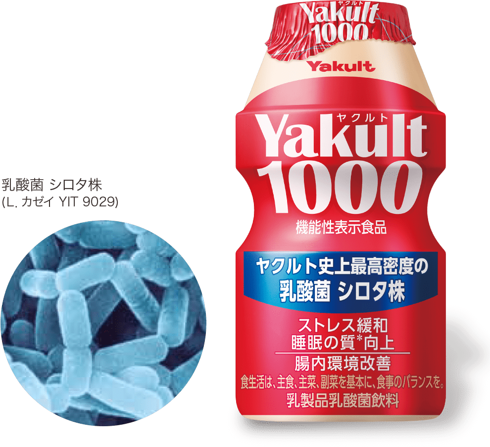 乳酸菌 シロタ株 (L.カゼイ YIT 9029)