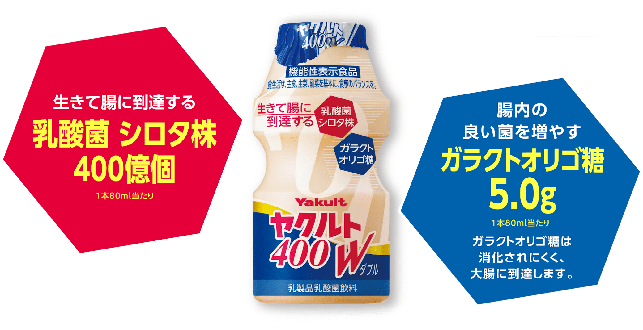 生きて腸に到達する 乳酸菌 シロタ株 400億個 1本80ml当たり 腸内の良い菌を増やすガラクトオリゴ糖5.0g 1本80ml当たり ガラクトオリゴ糖は消化されにくく、大腸に到達します。