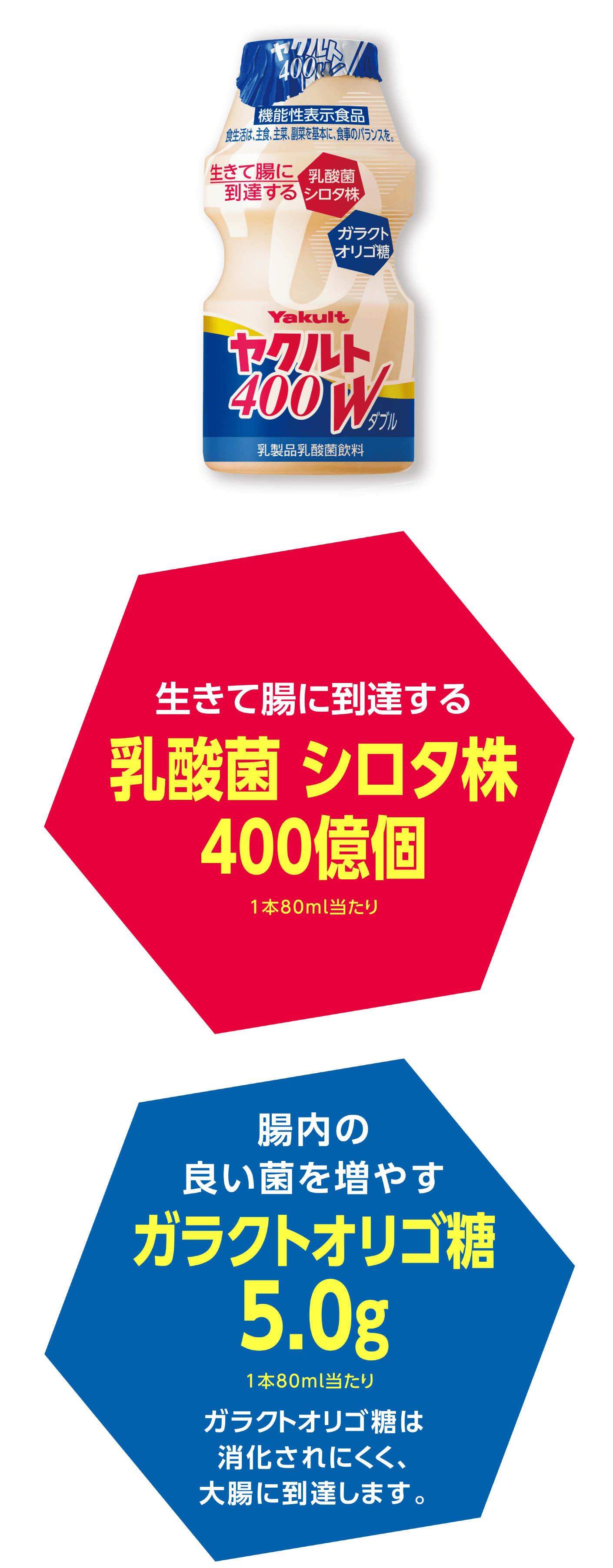 生きて腸に到達する 乳酸菌 シロタ株 400億個 1本80ml当たり 腸内の良い菌を増やすガラクトオリゴ糖5.0g 1本80ml当たり ガラクトオリゴ糖は消化されにくく、大腸に到達します。