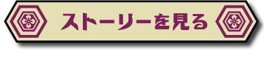 ストーリーを見る
