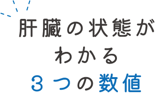 肝臓の状態がわかる3つの数値